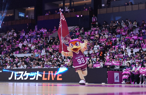 【プロバスケットボールチーム】総務スタッフサムネイル